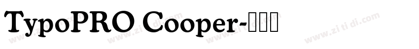 TypoPRO Cooper字体转换